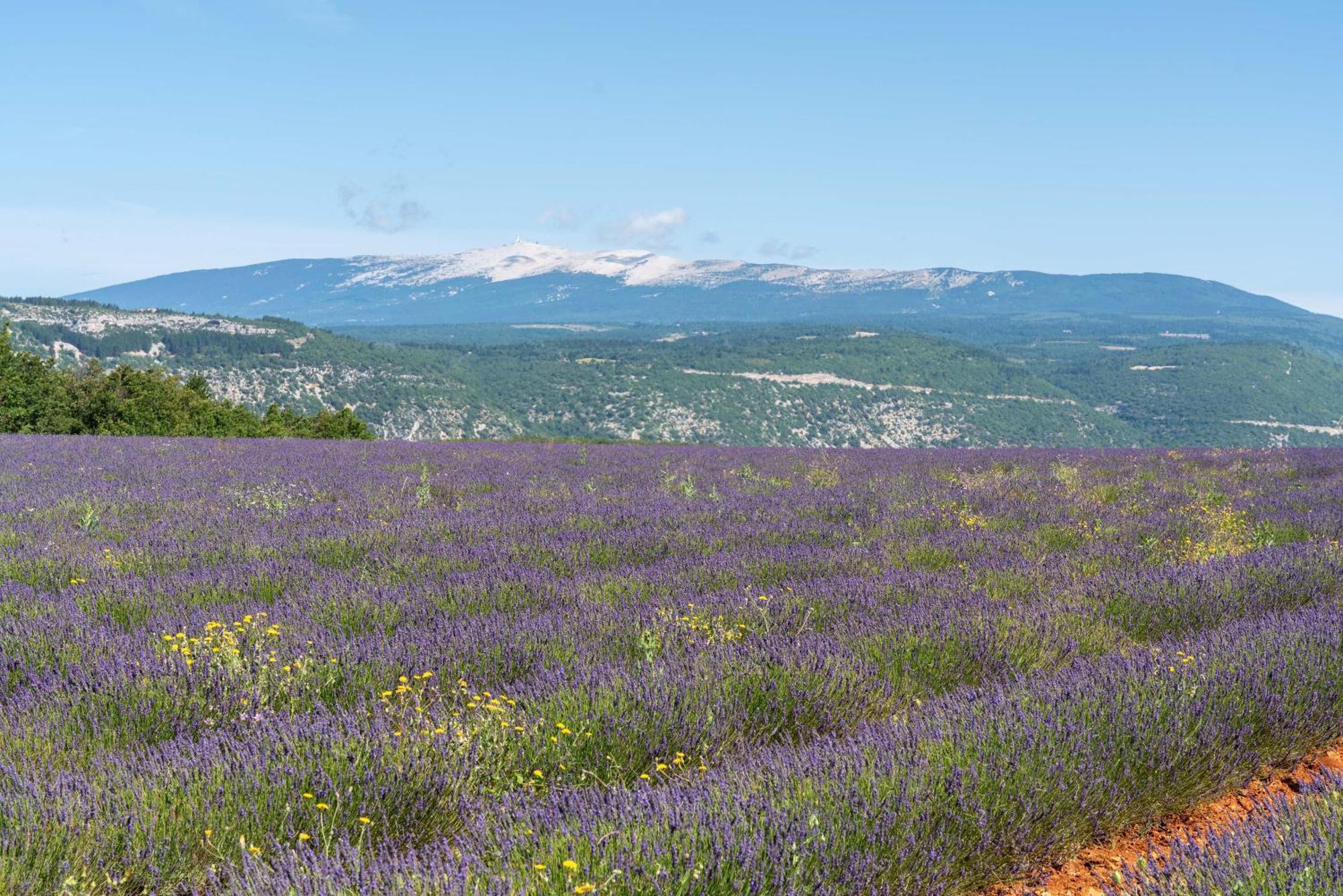 Les Demeures Du Ventoux Villa Aubignan Luaran gambar